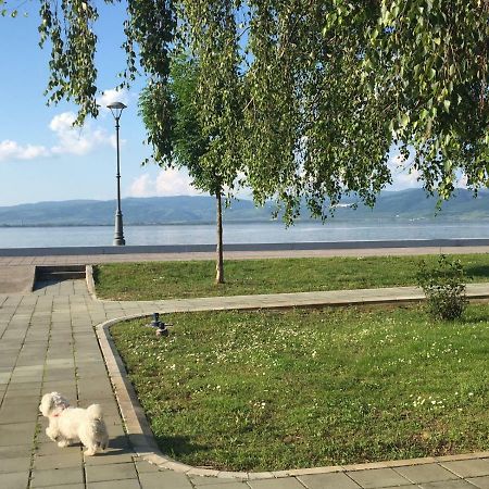Apartmani Vidikovac Golubac Bagian luar foto