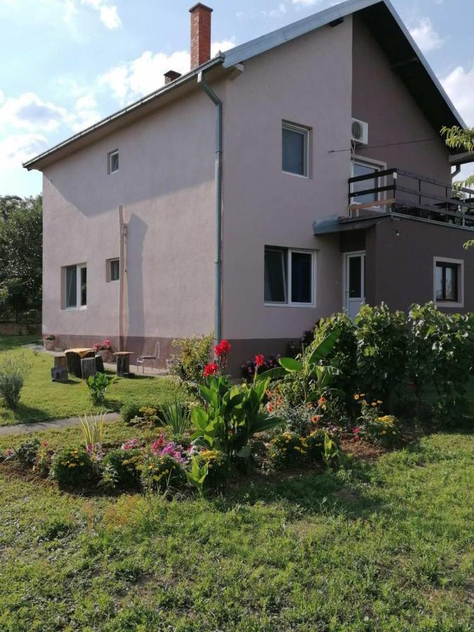 Apartmani Vidikovac Golubac Bagian luar foto