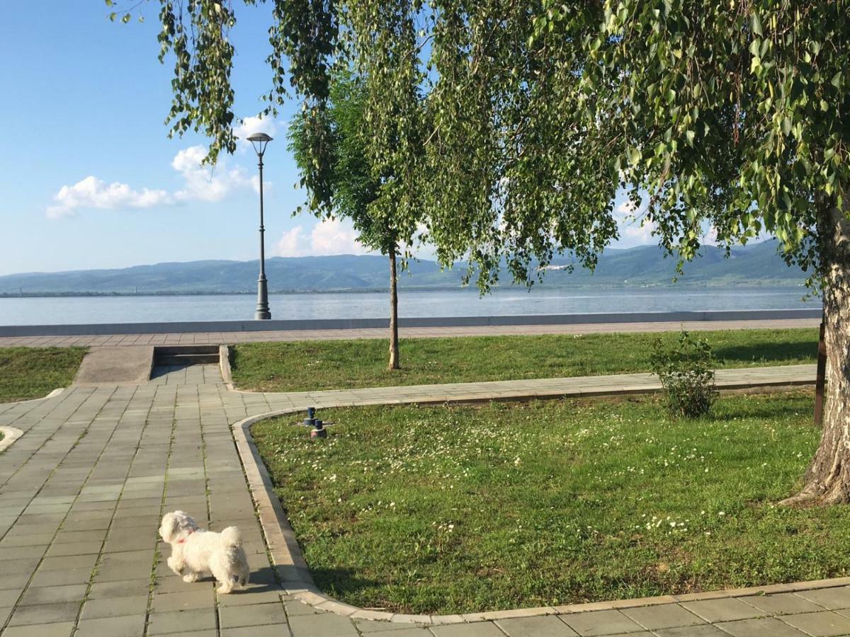 Apartmani Vidikovac Golubac Bagian luar foto
